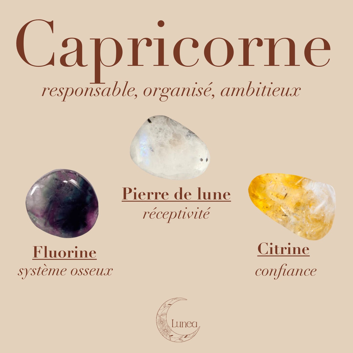 Astro capricorne